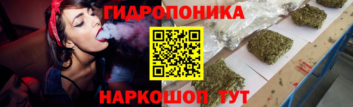 Конопля индика Амурск